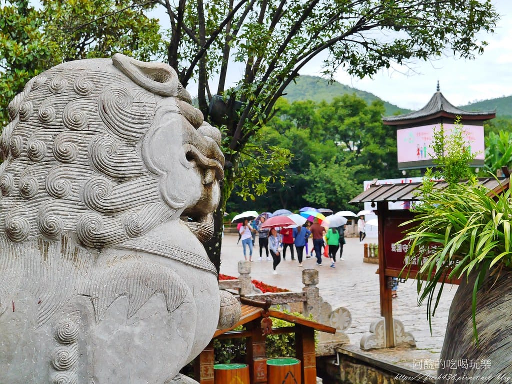 【雲南景點】麗江古城,小橋、流水、人家最典型的代表,走訪世界文化遺產之美。 - 第44張圖 39