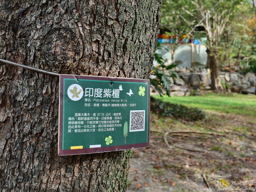 【南投住宿】泰雅渡假村,溫泉泡湯、露營烤肉、手作DIY、原民表演、園區導覽、高空繩索、天空步道,行程好豐富。 - 第146張圖 90-5