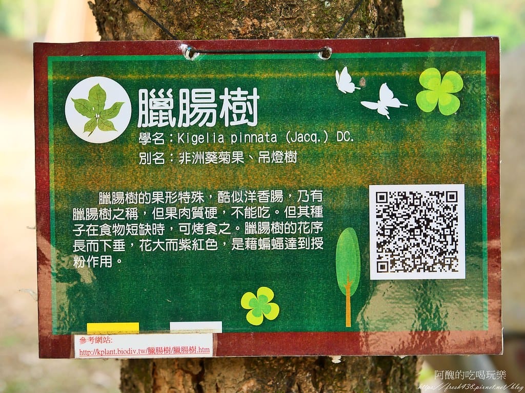 【南投住宿】泰雅渡假村,溫泉泡湯、露營烤肉、手作DIY、原民表演、園區導覽、高空繩索、天空步道,行程好豐富。 - 第121張圖 80