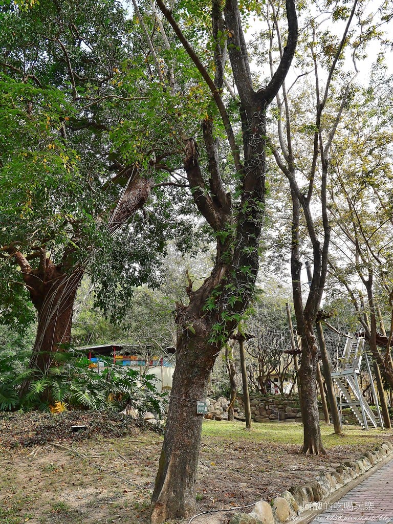 【南投住宿】泰雅渡假村,溫泉泡湯、露營烤肉、手作DIY、原民表演、園區導覽、高空繩索、天空步道,行程好豐富。 - 第147張圖 90-6