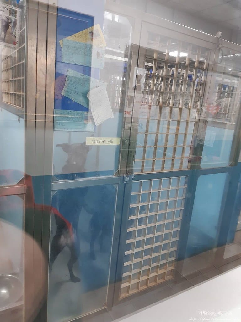 臺北市動物之家,免費認養流浪犬、流浪貓,還提供免費終生打狂犬病疫苗。 - 第21張圖 17 (3)