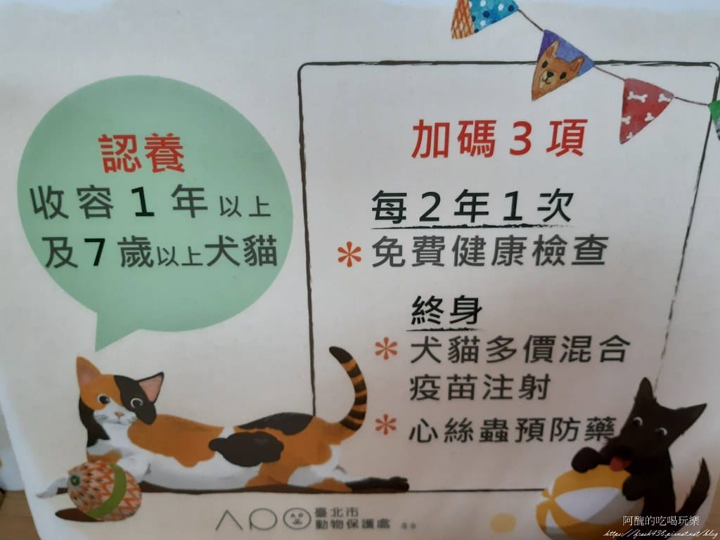 臺北市動物之家,免費認養流浪犬、流浪貓,還提供免費終生打狂犬病疫苗。 - 第43張圖 37
