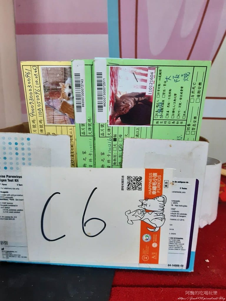 臺北市動物之家,免費認養流浪犬、流浪貓,還提供免費終生打狂犬病疫苗。 - 第27張圖 22