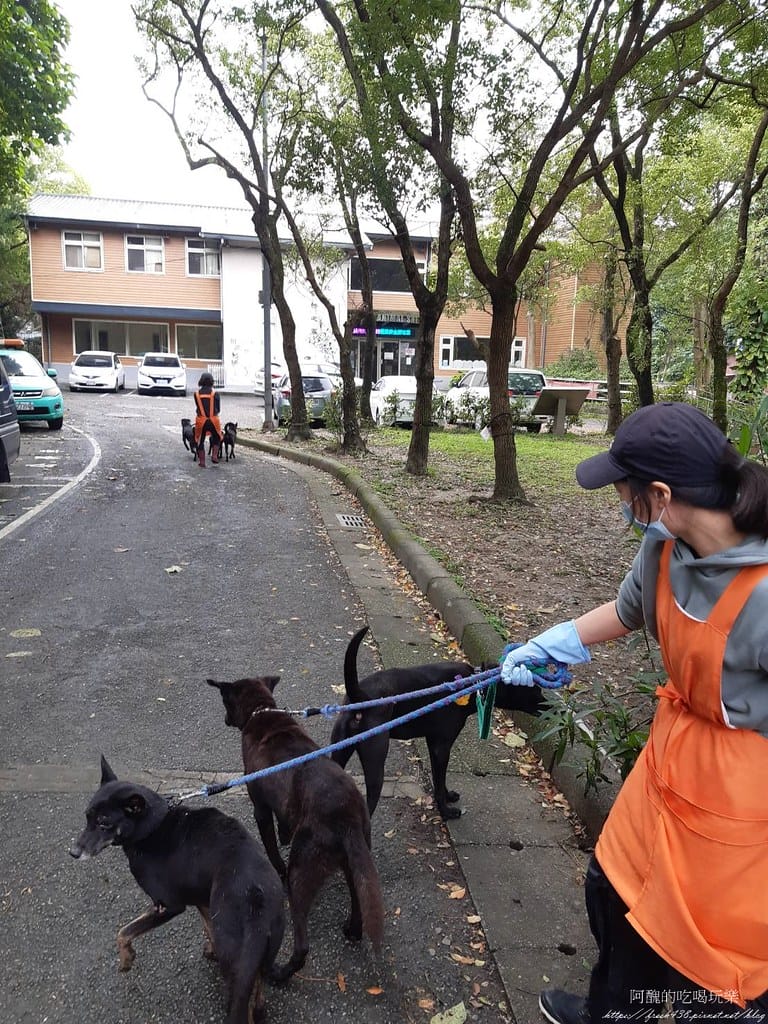 臺北市動物之家,免費認養流浪犬、流浪貓,還提供免費終生打狂犬病疫苗。 - 第9張圖 7