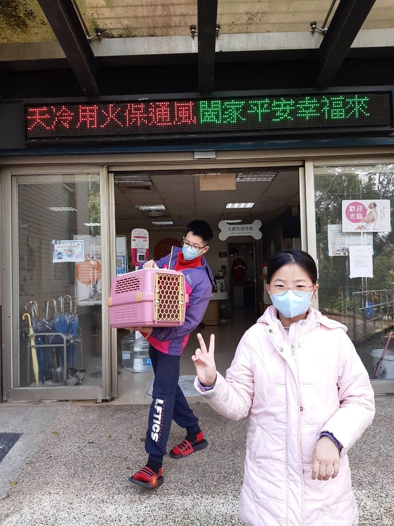 臺北市動物之家,免費認養流浪犬、流浪貓,還提供免費終生打狂犬病疫苗。 - 第49張圖 43