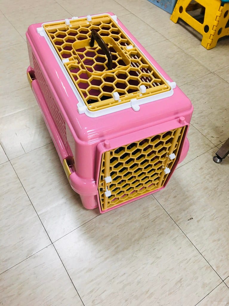 臺北市動物之家,免費認養流浪犬、流浪貓,還提供免費終生打狂犬病疫苗。 - 第45張圖 39