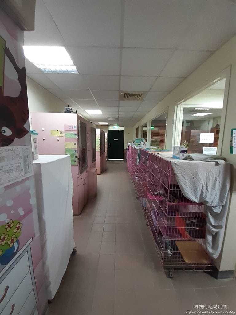 臺北市動物之家,免費認養流浪犬、流浪貓,還提供免費終生打狂犬病疫苗。 - 第24張圖 19