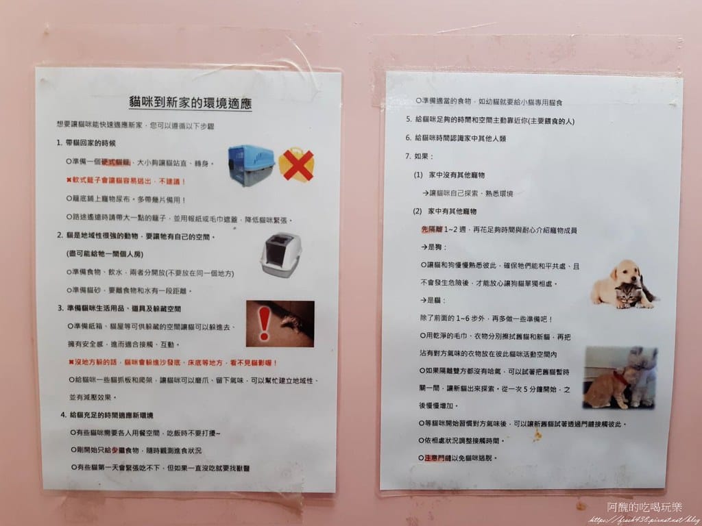 臺北市動物之家,免費認養流浪犬、流浪貓,還提供免費終生打狂犬病疫苗。 - 第46張圖 40