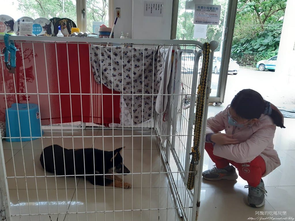 臺北市動物之家,免費認養流浪犬、流浪貓,還提供免費終生打狂犬病疫苗。 - 第15張圖 12