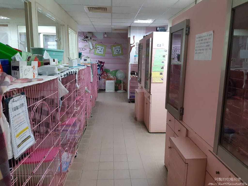 臺北市動物之家,免費認養流浪犬、流浪貓,還提供免費終生打狂犬病疫苗。 - 第25張圖 20