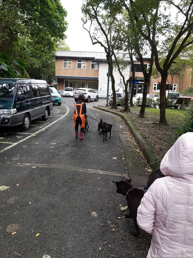 臺北市動物之家,免費認養流浪犬、流浪貓,還提供免費終生打狂犬病疫苗。 - 第10張圖 8
