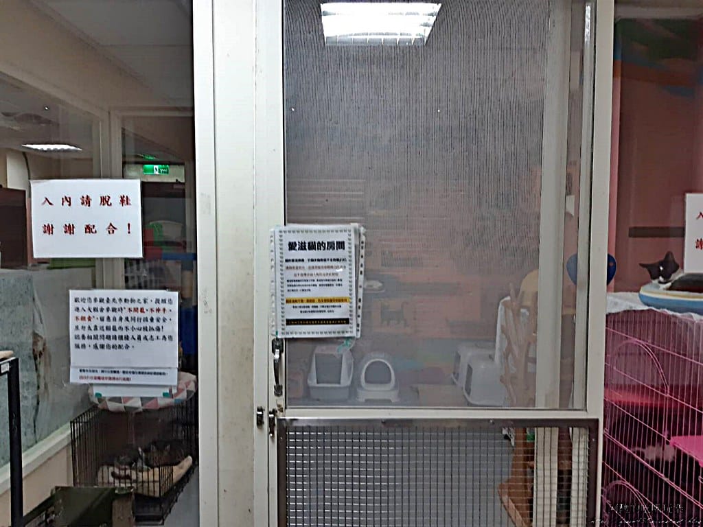 臺北市動物之家,免費認養流浪犬、流浪貓,還提供免費終生打狂犬病疫苗。 - 第35張圖 30