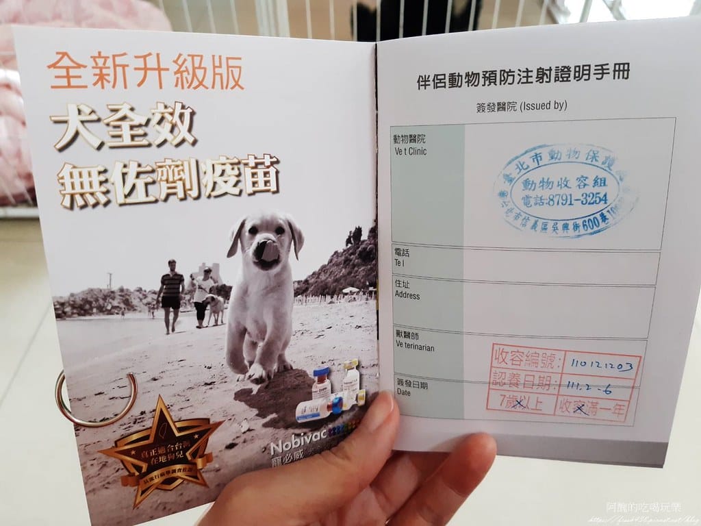 臺北市動物之家,免費認養流浪犬、流浪貓,還提供免費終生打狂犬病疫苗。 - 第41張圖 35