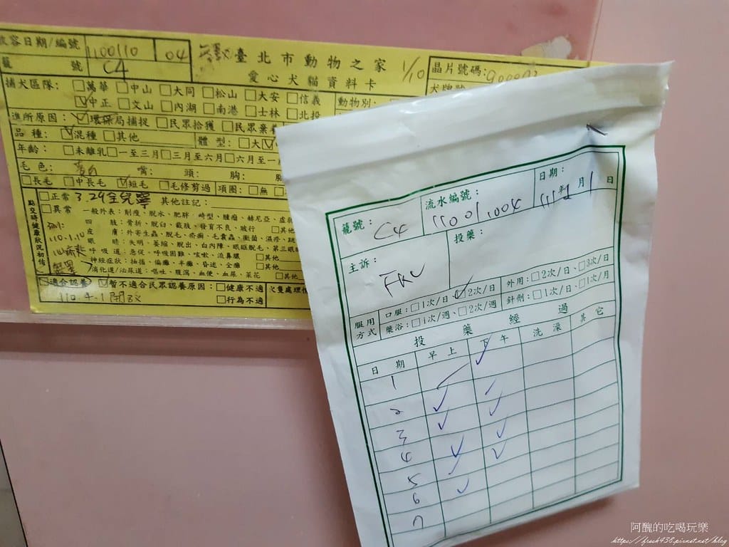 臺北市動物之家,免費認養流浪犬、流浪貓,還提供免費終生打狂犬病疫苗。 - 第30張圖 25
