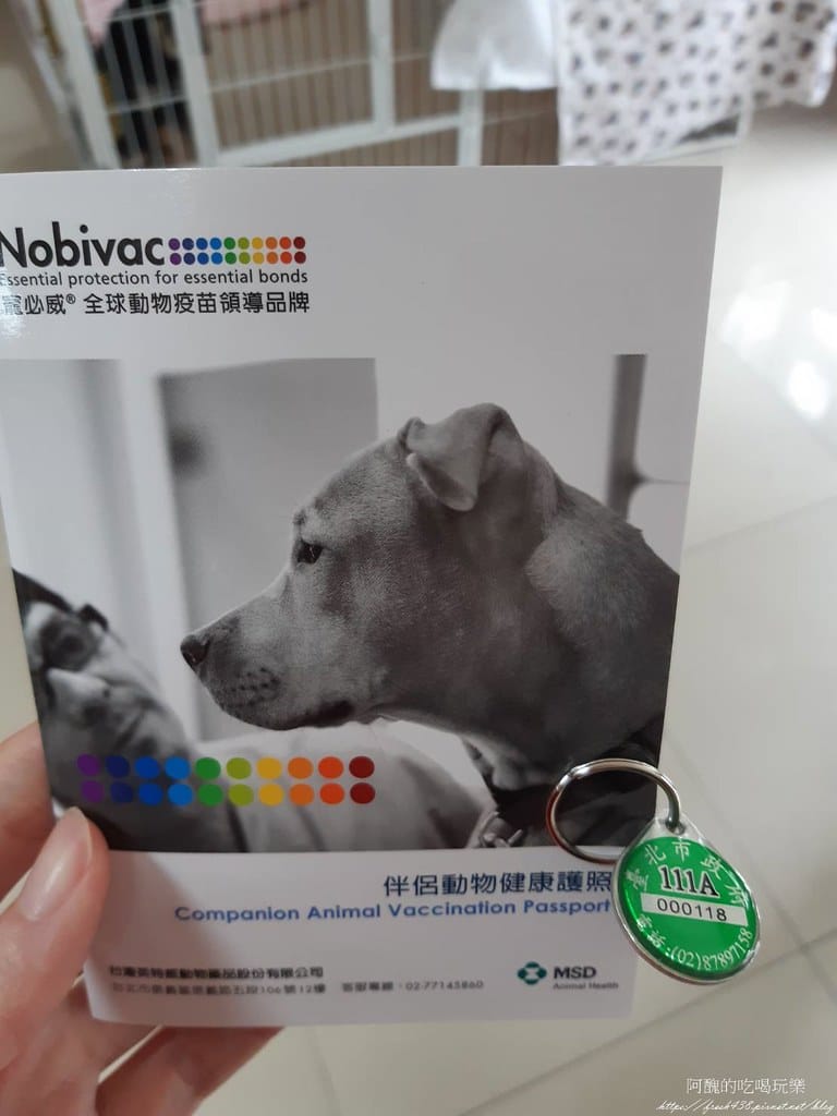 臺北市動物之家,免費認養流浪犬、流浪貓,還提供免費終生打狂犬病疫苗。 - 第40張圖 34
