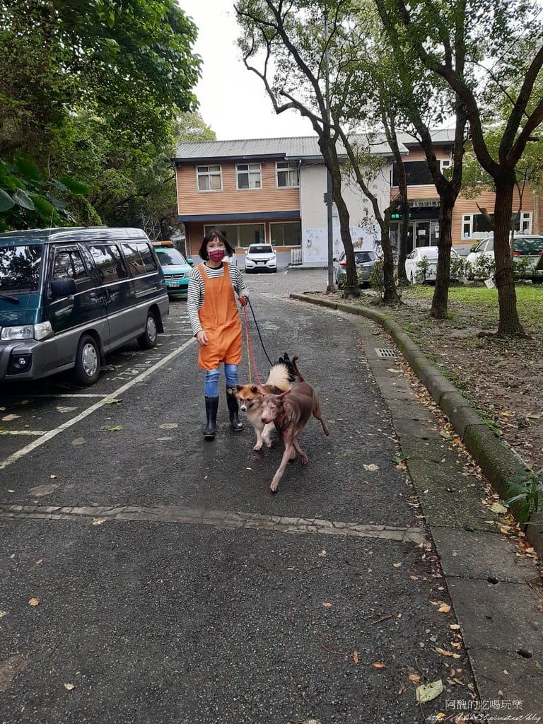 臺北市動物之家,免費認養流浪犬、流浪貓,還提供免費終生打狂犬病疫苗。 - 第8張圖 6