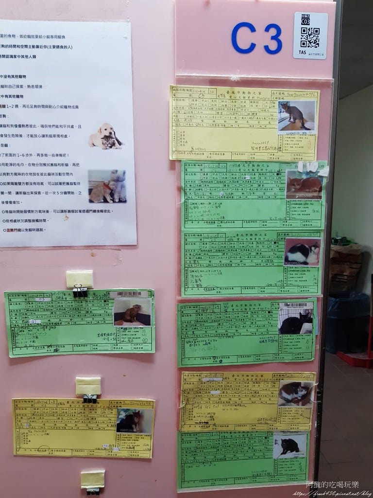 臺北市動物之家,免費認養流浪犬、流浪貓,還提供免費終生打狂犬病疫苗。 - 第29張圖 24