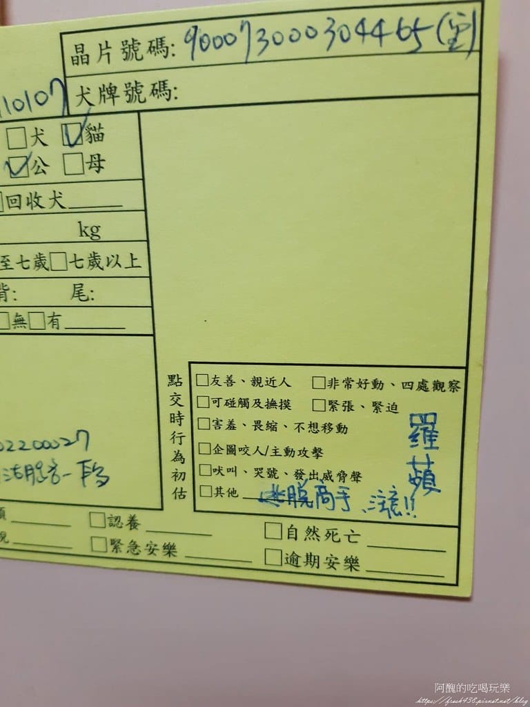 臺北市動物之家,免費認養流浪犬、流浪貓,還提供免費終生打狂犬病疫苗。 - 第32張圖 27