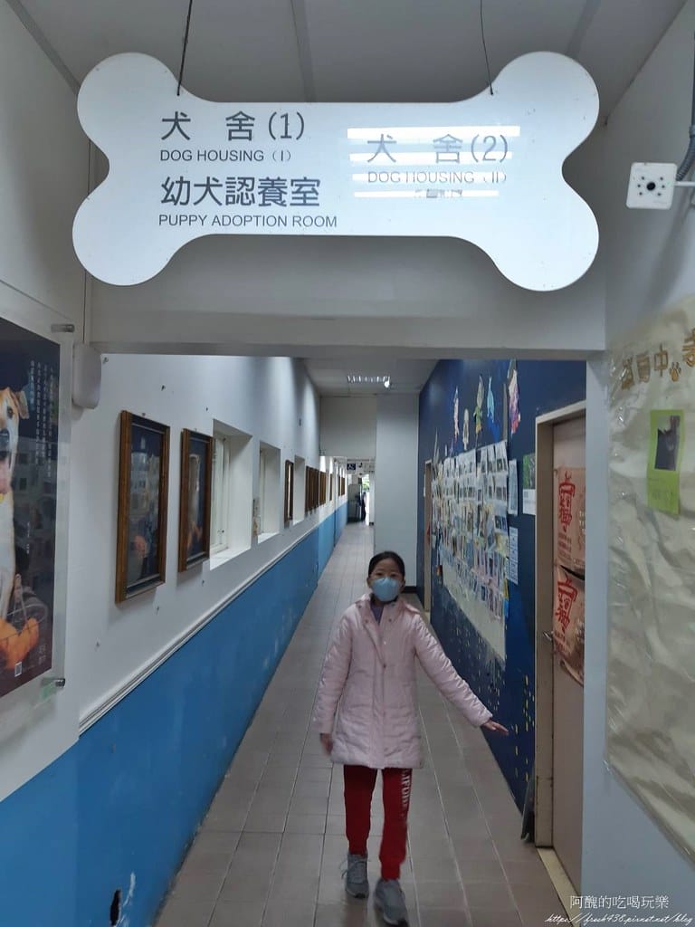 臺北市動物之家,免費認養流浪犬、流浪貓,還提供免費終生打狂犬病疫苗。 - 第17張圖 14