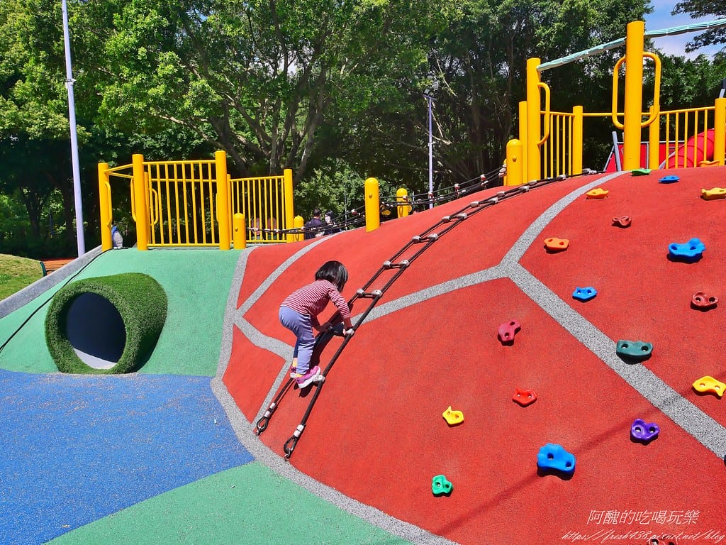 【板橋景點】環河公園,超大招潮蟹遊具,海洋主題特色公園,交通/停車看這篇。 - 第39張圖 26