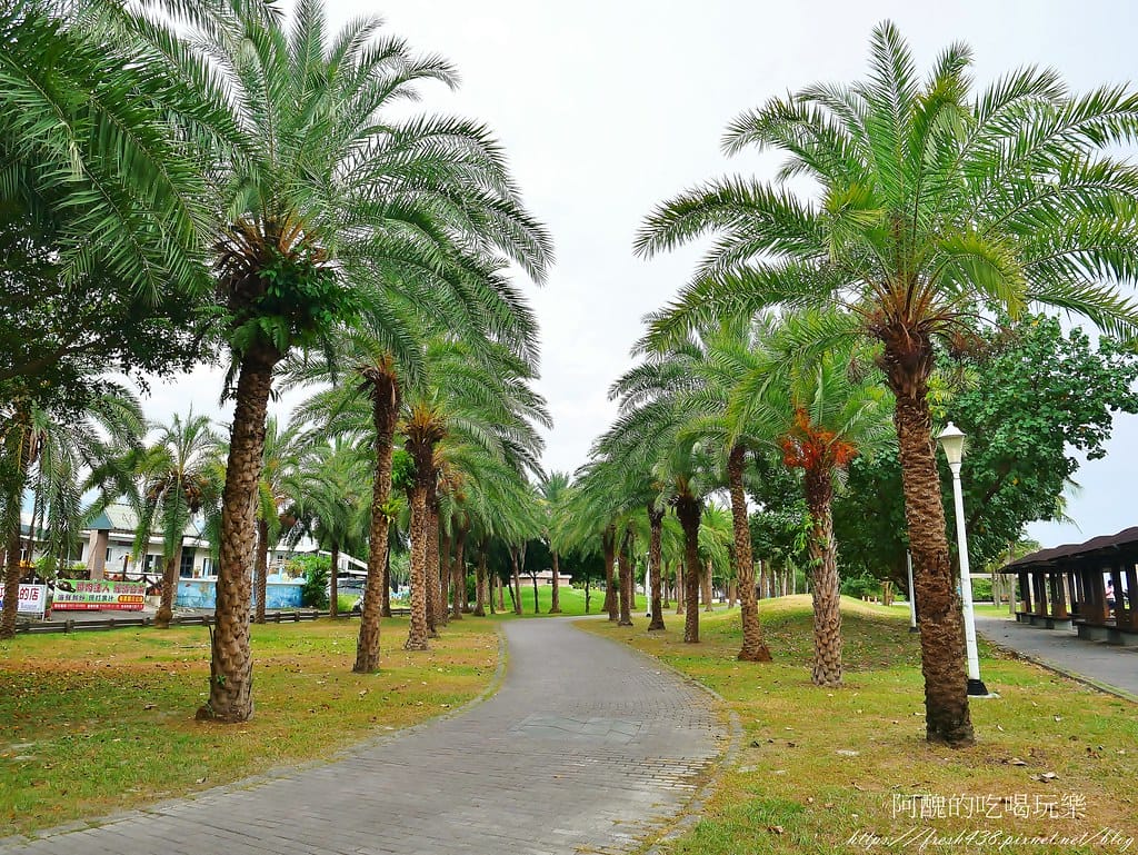 【花蓮景點】太平洋公園(北濱段),3D立體海洋彩繪公園,拍照、觀海、堆石頭的好去處。 - 第30張圖 26-5