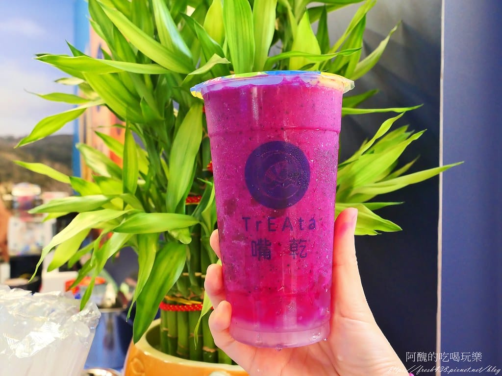 【林口飲料店】嘴乾 Treata-林口店,口渴就來喝台灣茶,不含農藥、不加果糖、沒有香精,更健康。 - 第34張圖 27