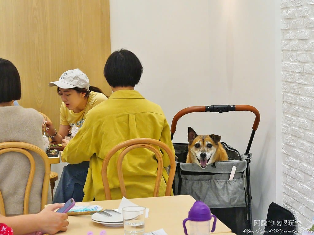 【新北美食】蒔光食藝,網美超愛的林口早午餐推薦,料理讚、擺盤美,熱門寵物友善餐廳。 - 第12張圖 8-5