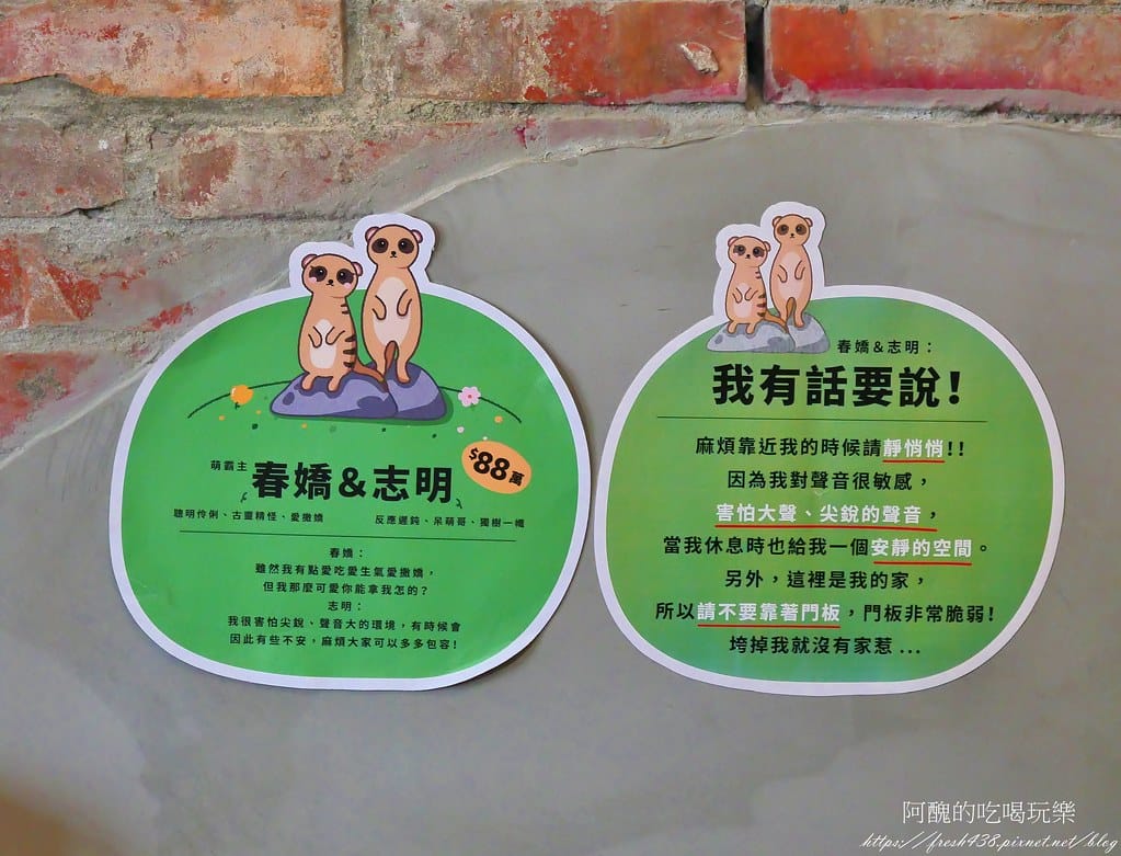 【樹林親子餐廳】紅磚園邸,可愛狐獴、水豚、白袋鼠陪您互動,必吃新北美食,更是網美餐廳。 - 第56張圖 32-2