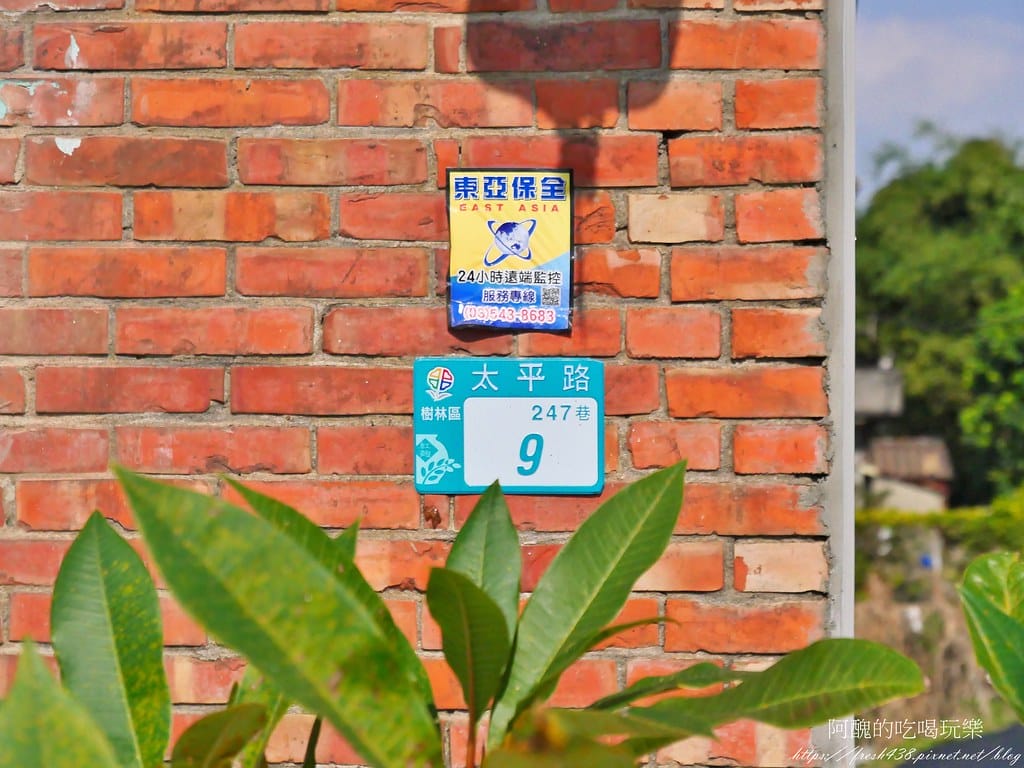 【樹林親子餐廳】紅磚園邸,可愛狐獴、水豚、白袋鼠陪您互動,必吃新北美食,更是網美餐廳。 - 第9張圖 6-1
