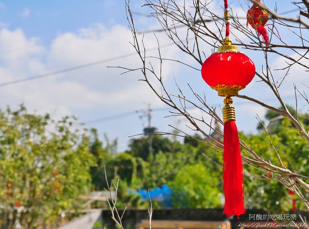【樹林親子餐廳】紅磚園邸,可愛狐獴、水豚、白袋鼠陪您互動,必吃新北美食,更是網美餐廳。 - 第65張圖 41