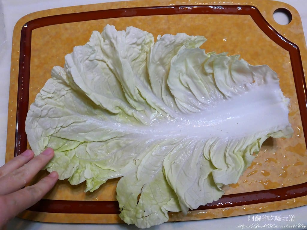 千層白菜牛肉鍋,日式壽喜鍋簡易版,零廚藝也保證成功的一鍋煮。 - 第5張圖 P1020374