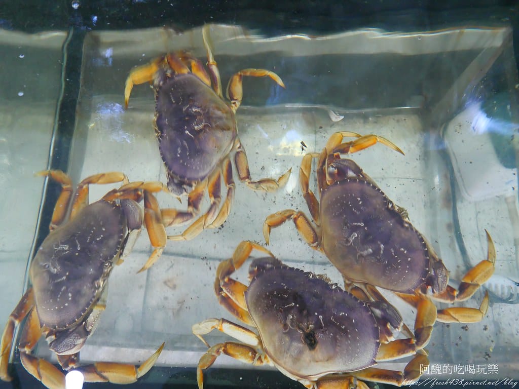 【新北美食】集鮮城水產餐廳,泰山熱炒店,附設卡拉OK,讓您吃飽又嗨爆! - 第15張圖 P1021484
