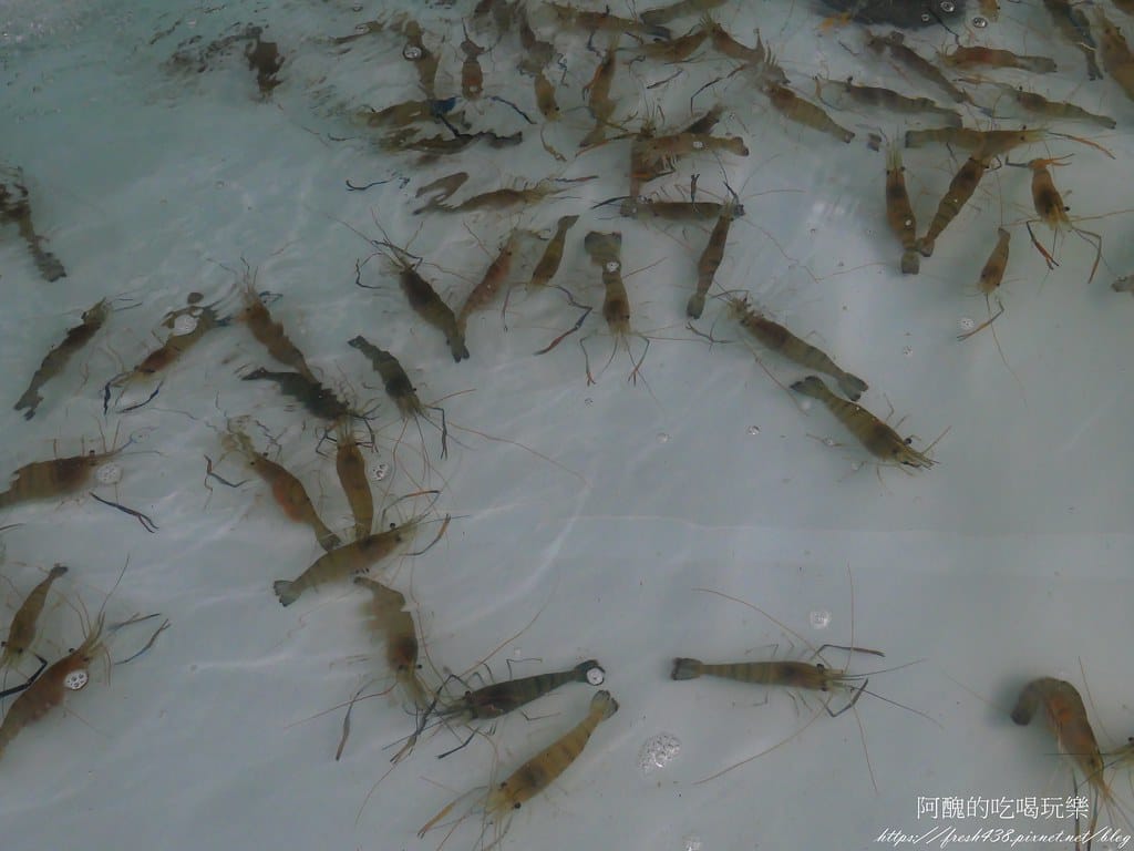 【新北美食】集鮮城水產餐廳,泰山熱炒店,附設卡拉OK,讓您吃飽又嗨爆! - 第12張圖 P1021481