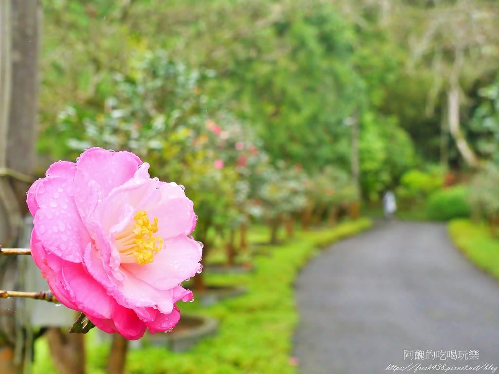 87