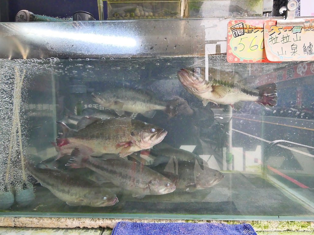 【桃園美食】三街海鮮屋,桃園平價快炒海鮮店,合菜超級澎湃,宴客的最佳選擇。 - 第11張圖 10
