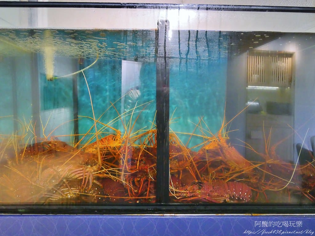 【新北美食】台北一位難求的爆紅鐵板燒,全台評價最高的高檔連鎖鐵板燒,明水然・樂-林口昕境店,食材超頂級。 - 第14張圖 12