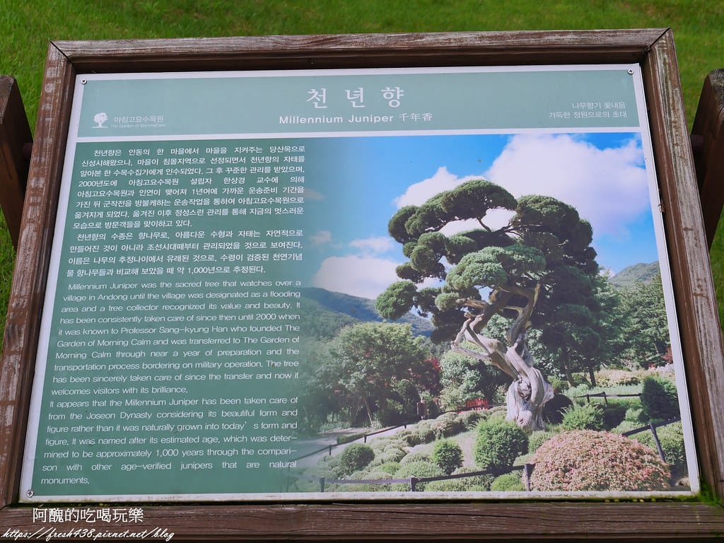 【韓國景點】晨靜樹木園(아침고요수목원) ,一年四季都值得前往,美不勝收的人間仙境,京畿道必遊景點。 - 第51張圖 P1028557
