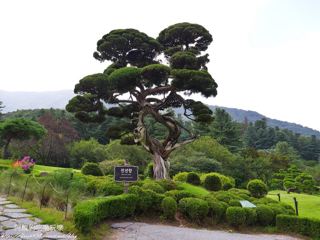 【韓國景點】晨靜樹木園(아침고요수목원) ,一年四季都值得前往,美不勝收的人間仙境,京畿道必遊景點。 - 第50張圖 P1028554