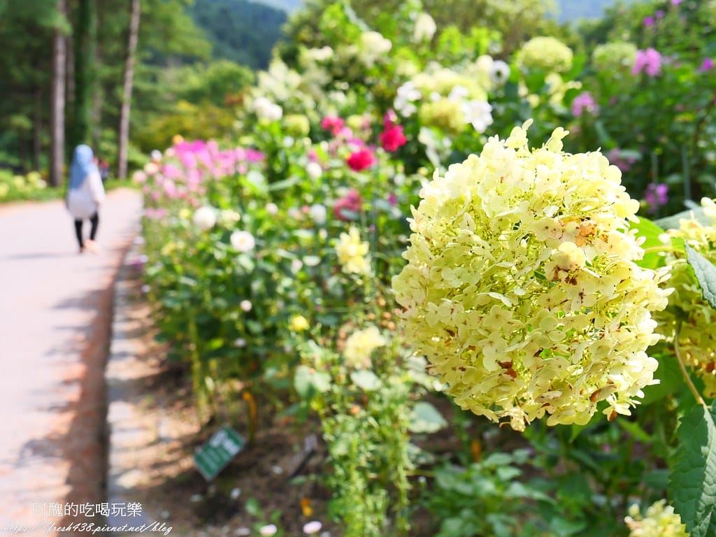 【韓國景點】晨靜樹木園(아침고요수목원) ,一年四季都值得前往,美不勝收的人間仙境,京畿道必遊景點。 - 第33張圖 29