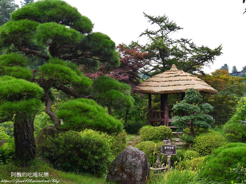 【韓國景點】晨靜樹木園(아침고요수목원) ,一年四季都值得前往,美不勝收的人間仙境,京畿道必遊景點。 - 第55張圖 P1028562