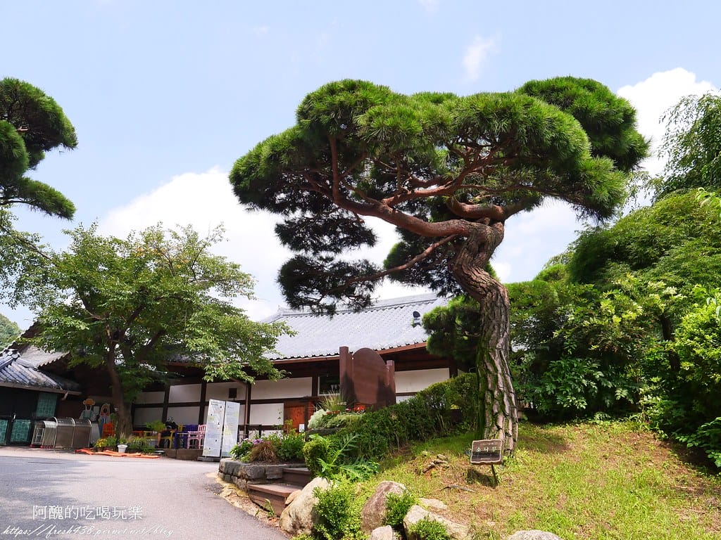 【韓國景點】晨靜樹木園(아침고요수목원) ,一年四季都值得前往,美不勝收的人間仙境,京畿道必遊景點。 - 第13張圖 8