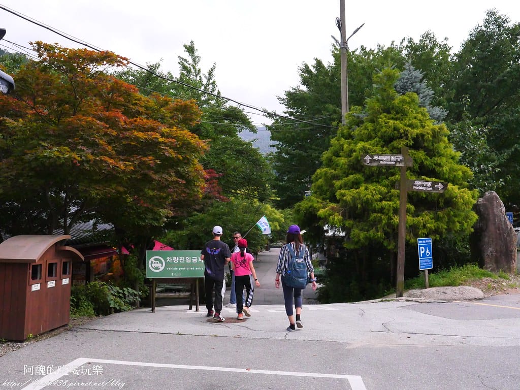 【韓國景點】晨靜樹木園(아침고요수목원) ,一年四季都值得前往,美不勝收的人間仙境,京畿道必遊景點。 - 第6張圖 1
