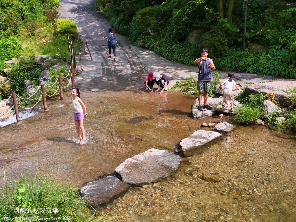 【韓國景點】晨靜樹木園(아침고요수목원) ,一年四季都值得前往,美不勝收的人間仙境,京畿道必遊景點。 - 第26張圖 21