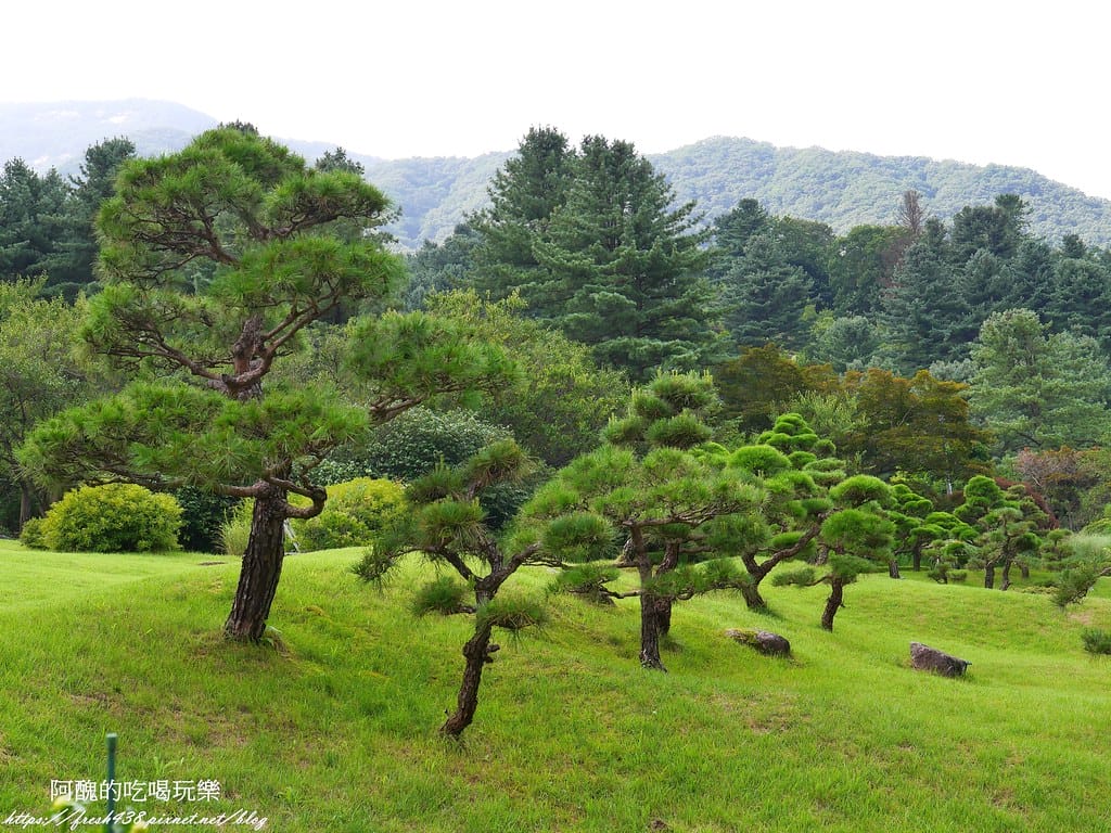 【韓國景點】晨靜樹木園(아침고요수목원) ,一年四季都值得前往,美不勝收的人間仙境,京畿道必遊景點。 - 第53張圖 P1028559