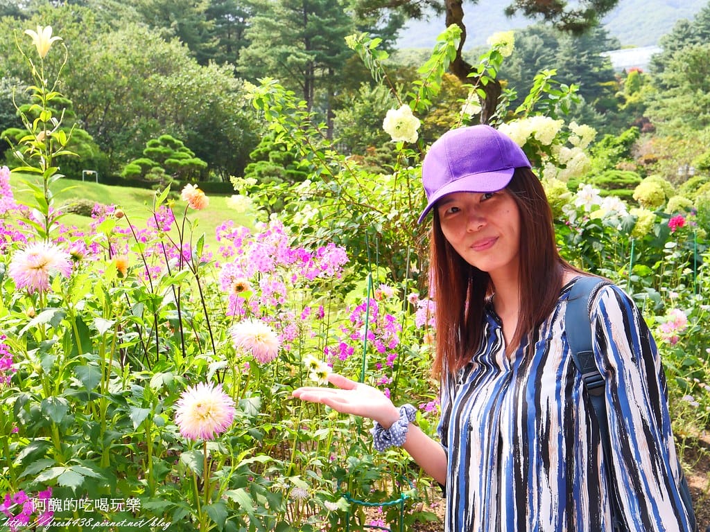 【韓國景點】晨靜樹木園(아침고요수목원) ,一年四季都值得前往,美不勝收的人間仙境,京畿道必遊景點。 - 第35張圖 31