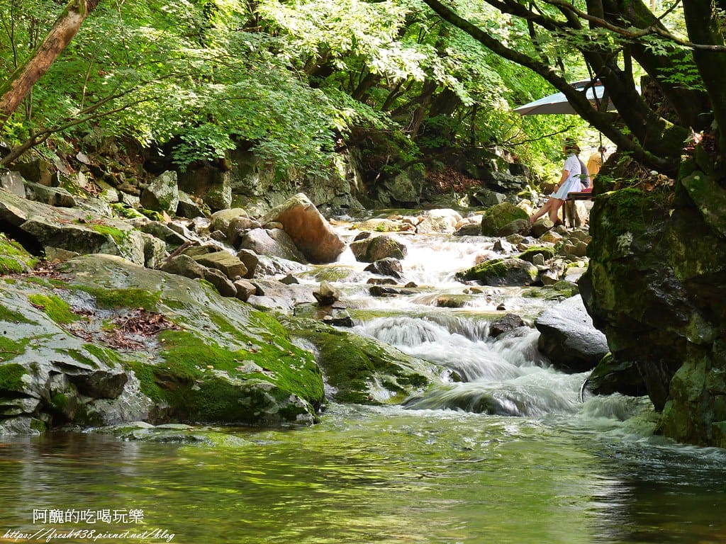 【韓國景點】晨靜樹木園(아침고요수목원) ,一年四季都值得前往,美不勝收的人間仙境,京畿道必遊景點。 - 第23張圖 18