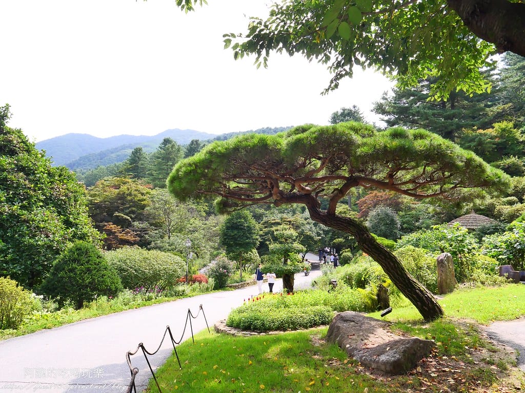 【韓國景點】晨靜樹木園(아침고요수목원) ,一年四季都值得前往,美不勝收的人間仙境,京畿道必遊景點。 - 第19張圖 14
