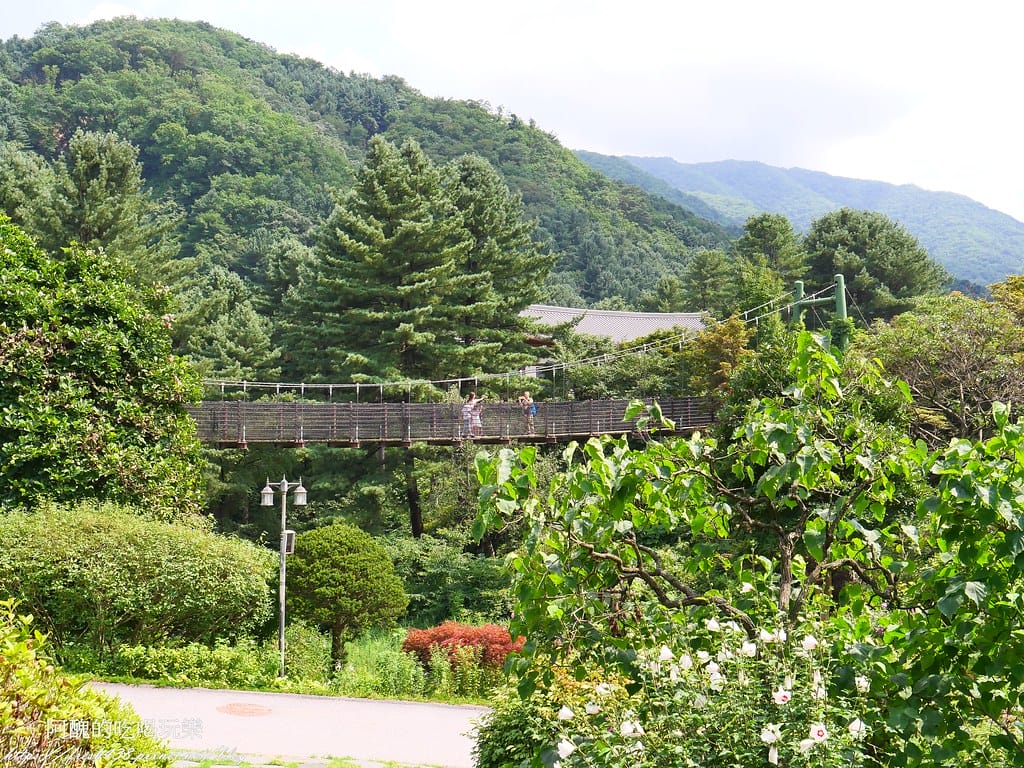 【韓國景點】晨靜樹木園(아침고요수목원) ,一年四季都值得前往,美不勝收的人間仙境,京畿道必遊景點。 - 第21張圖 16