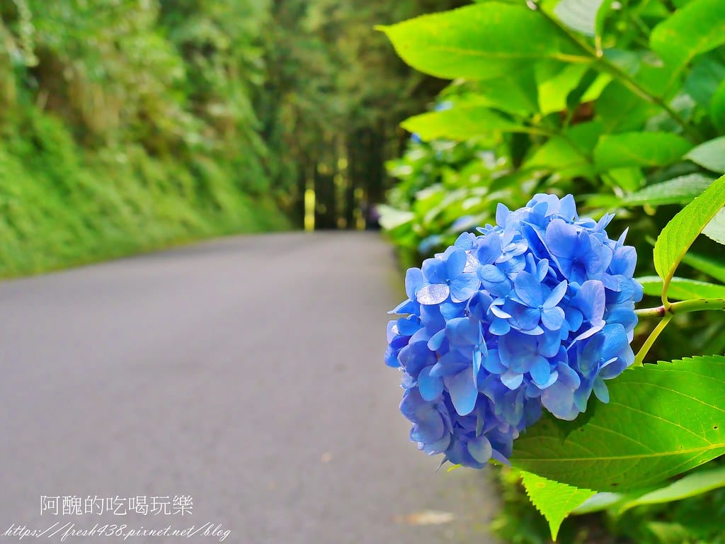 85