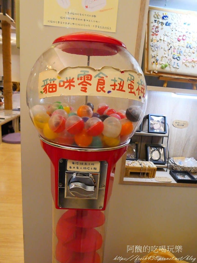 【板橋美食】貓欸Camulet,有貓咪陪吃飯的餐廳,餐點可口、貓咪親人,環境乾淨到不可思議! - 第12張圖 9